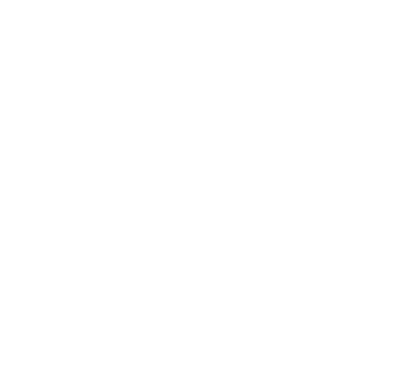 TraceFinish logo